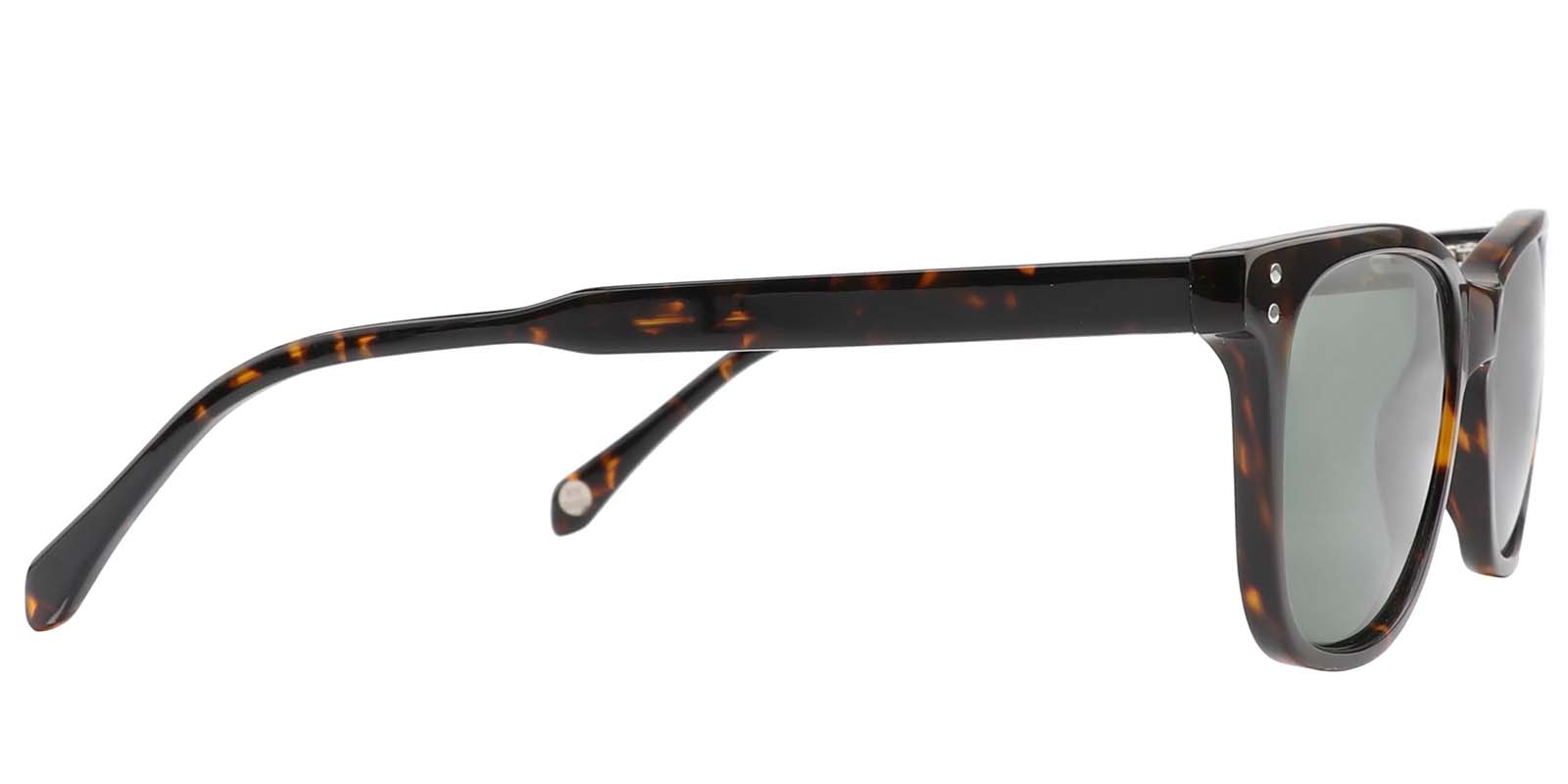 EYE8003S-Grefor-tortoise