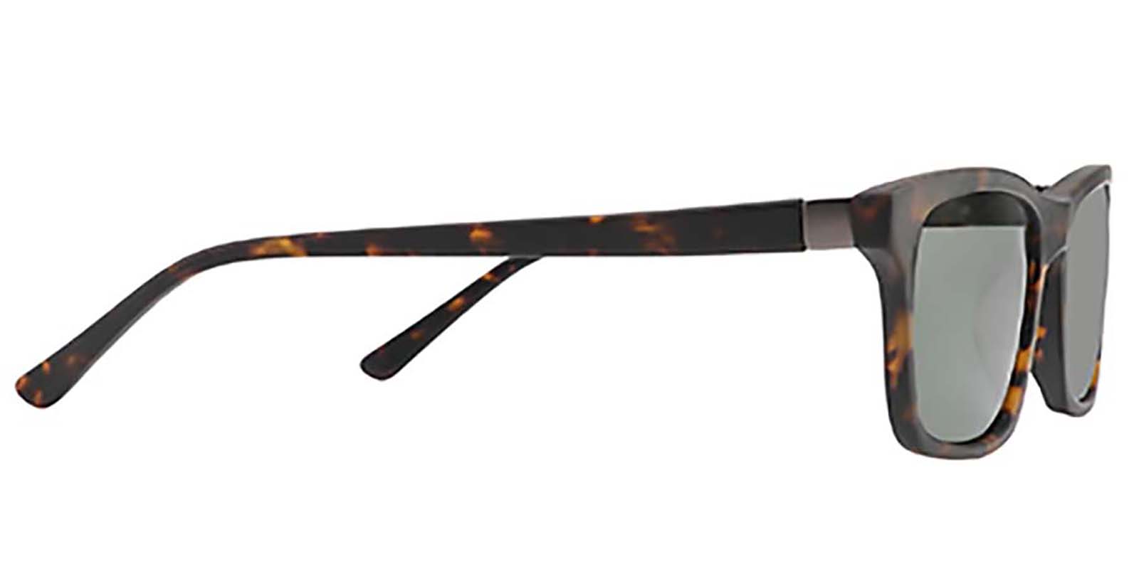 EYE8078S-Sunth-tortoise