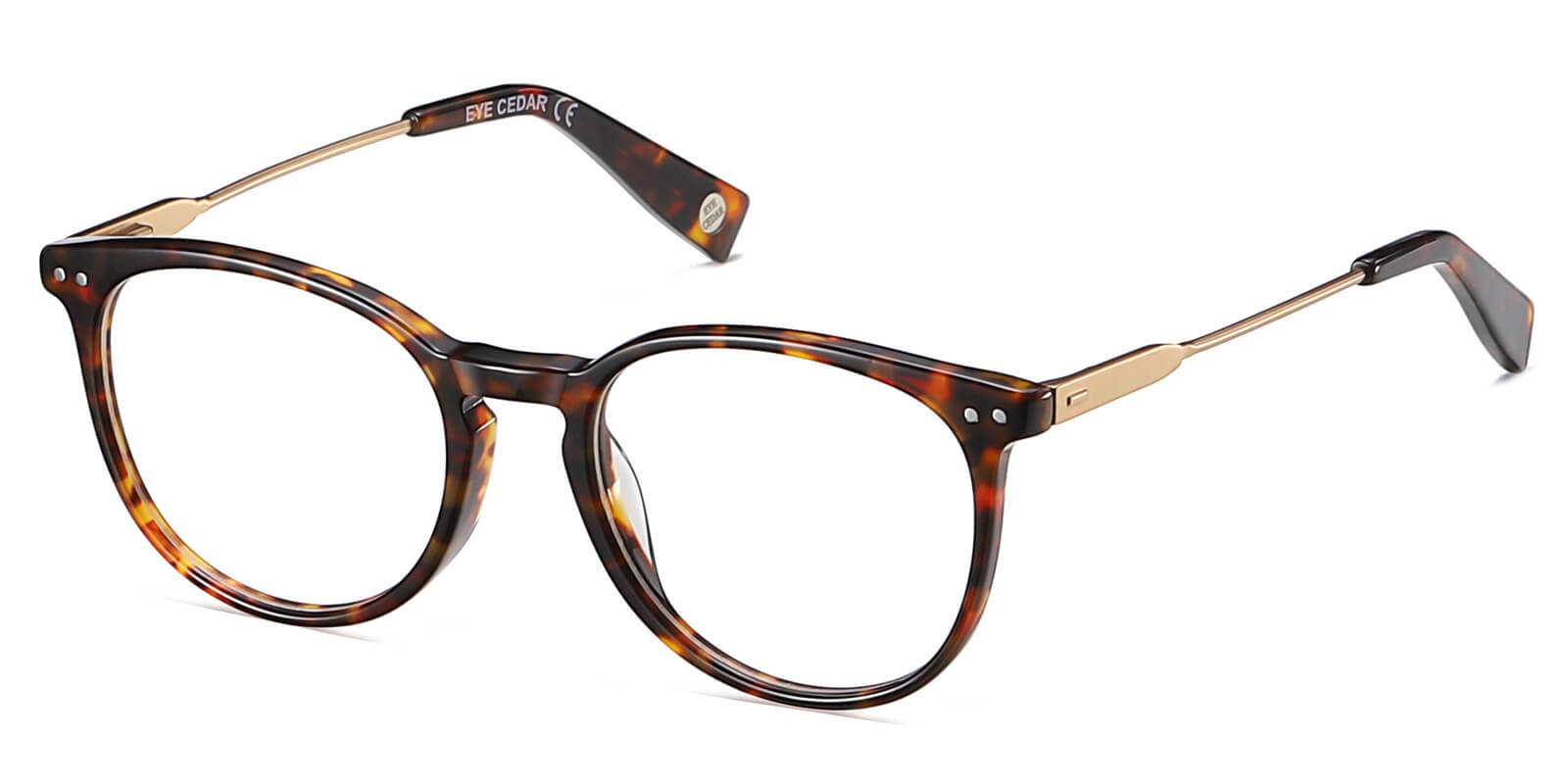 EYE8072-1-Cervia-tortoise