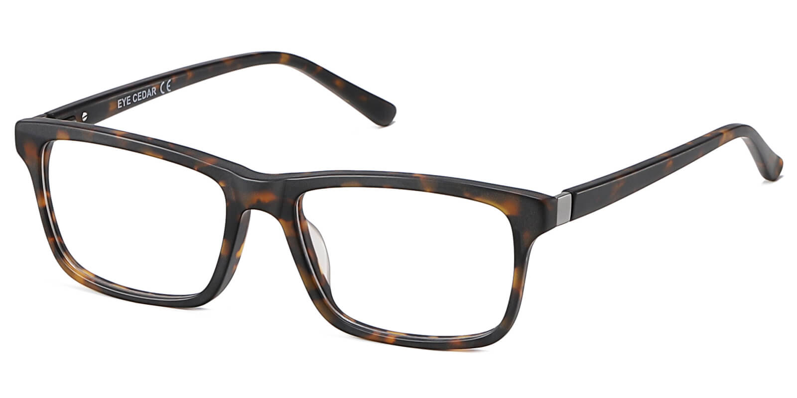 EYE8078-Sunth-tortoise