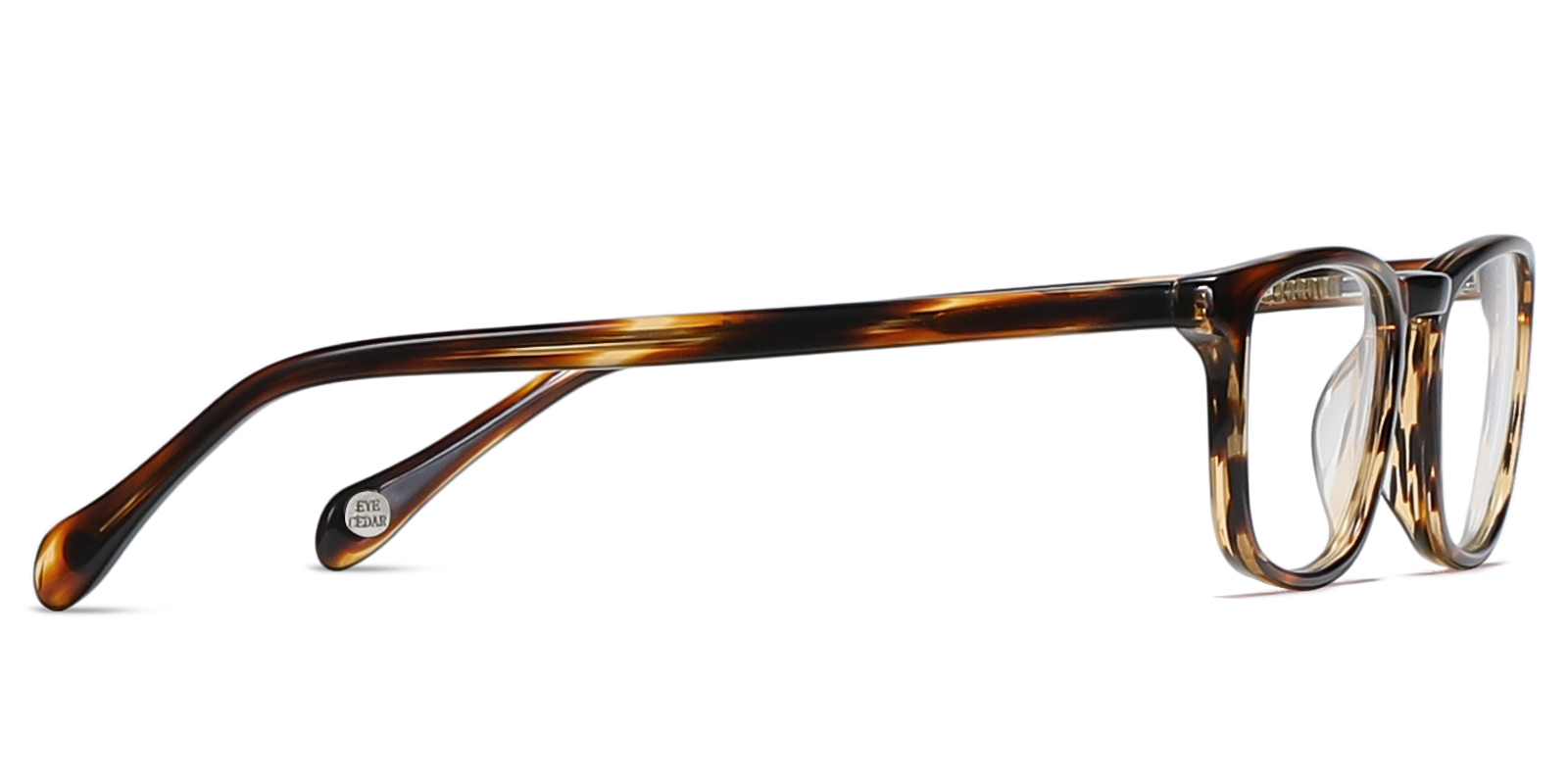 EYE8085-Swarn-tortoise