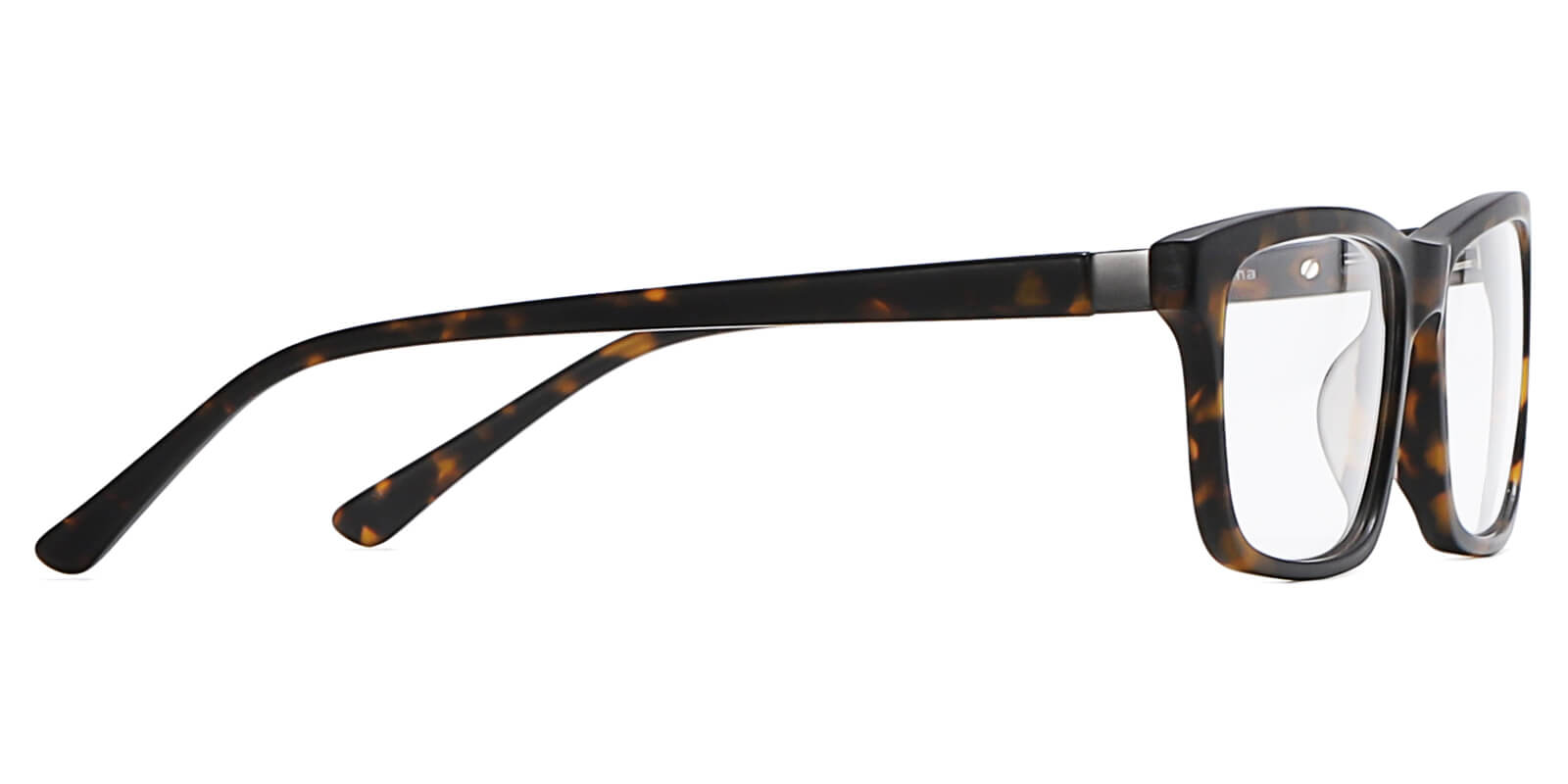 EYE8078-Sunth-tortoise