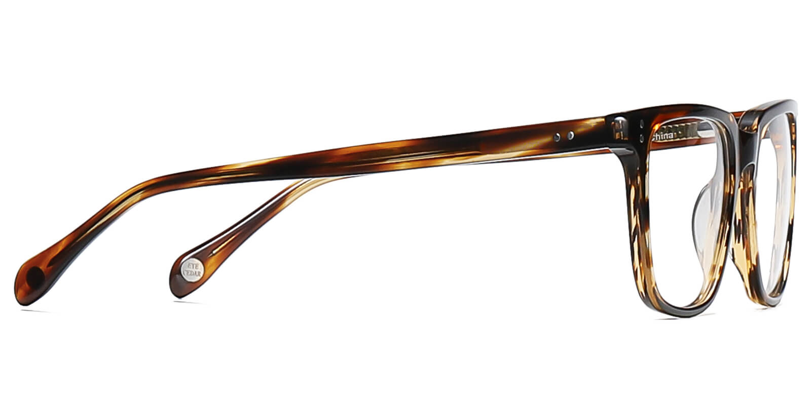 EYE8070-Selecten-tortoise