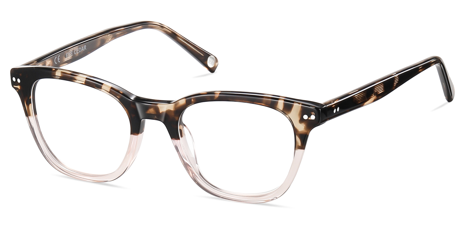 8975TL-Ublich-tortoise