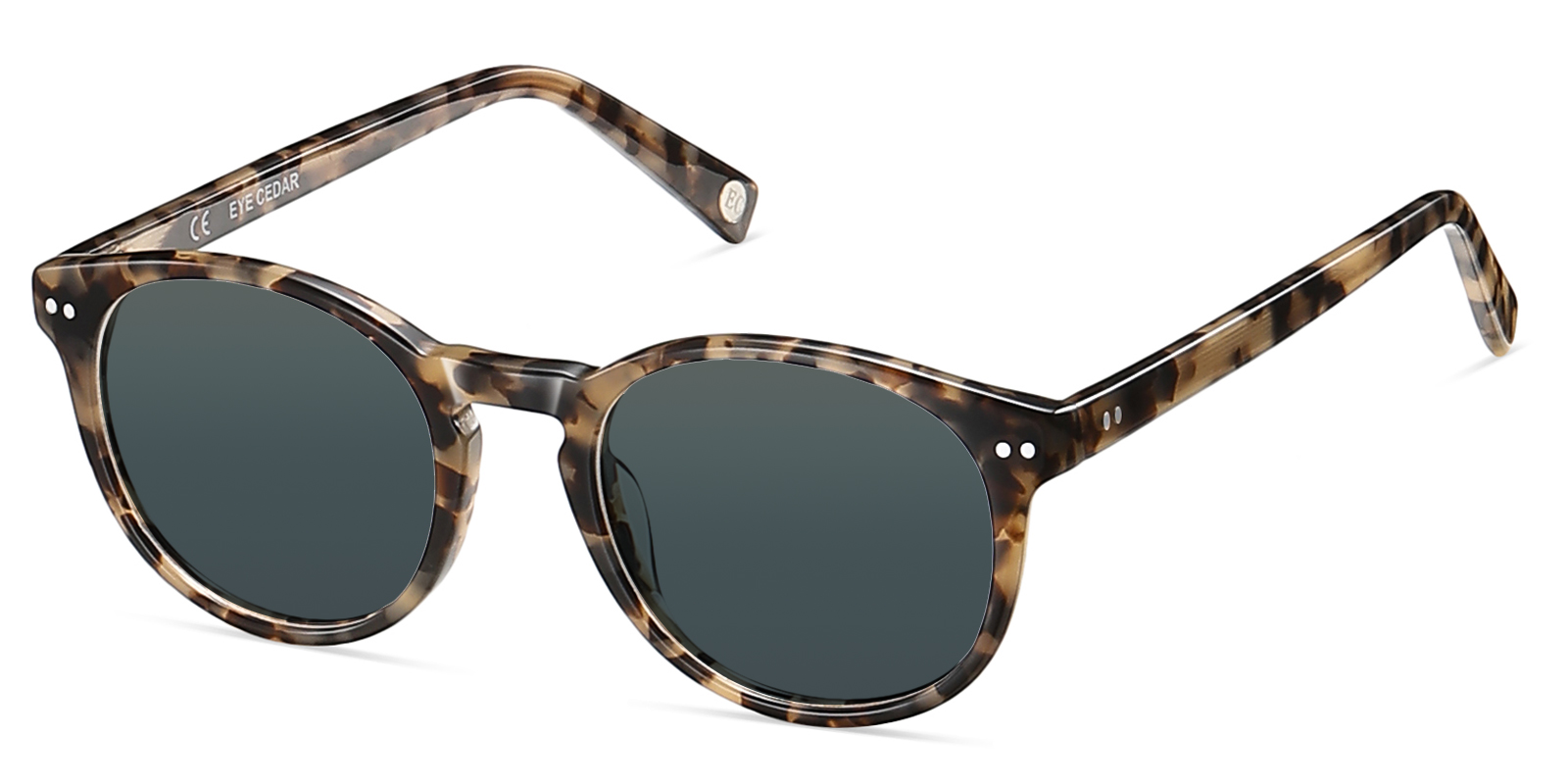 S8895TL-Quada-tortoise