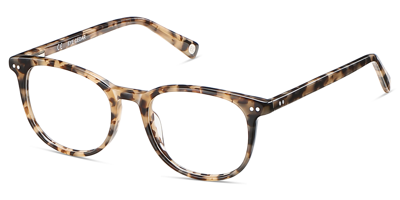 8991TL-Zuter-tortoise