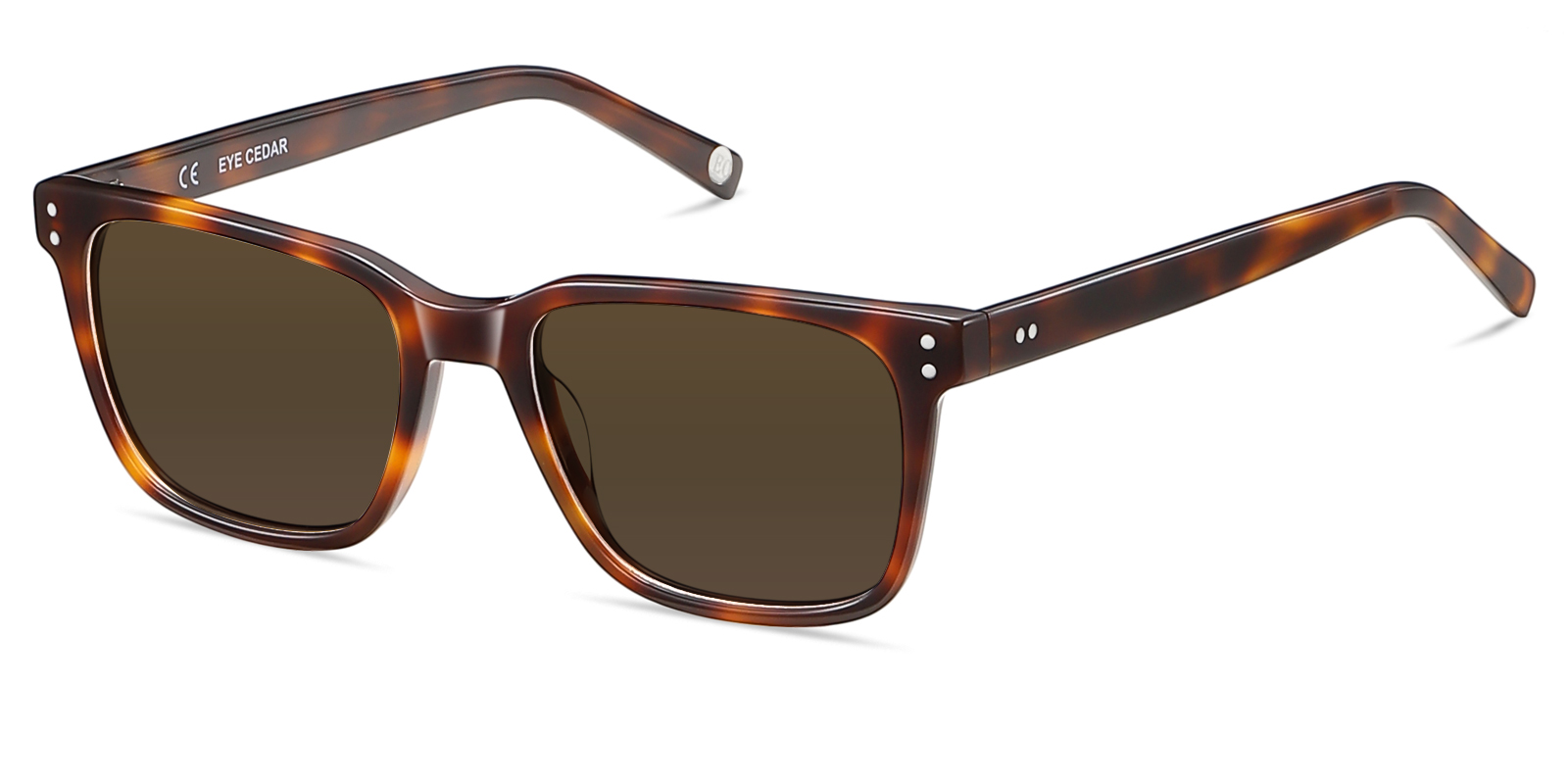 S8985TL-Duben-tortoise