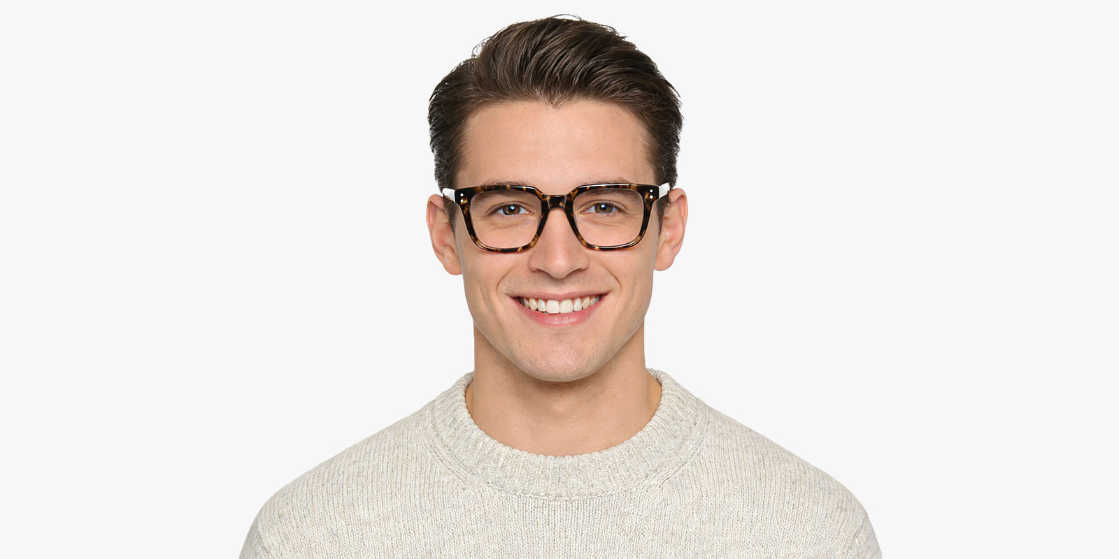 8776TL-Faro-tortoise_pc_3