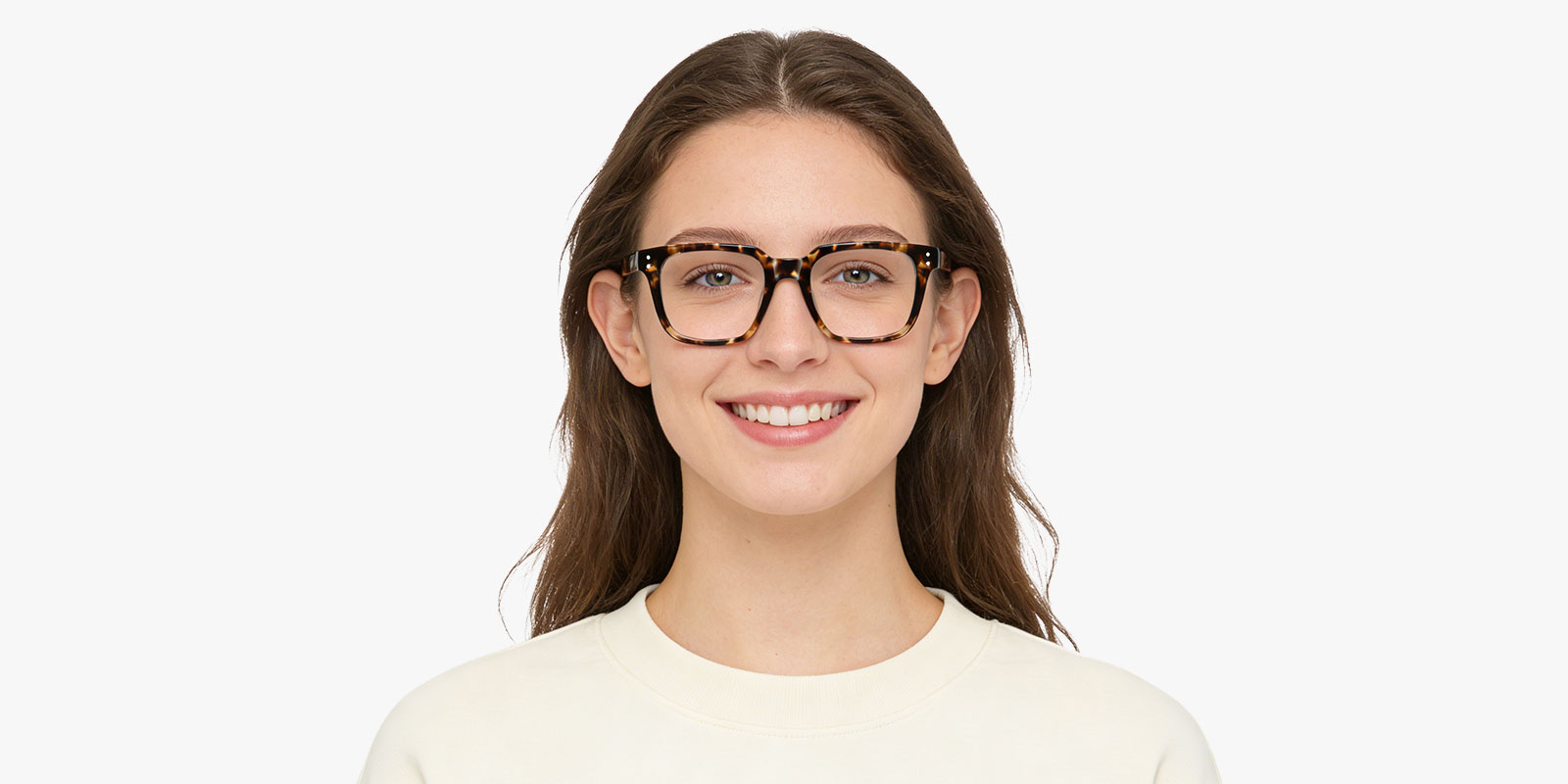 8776TL-Faro-tortoise_pc_2