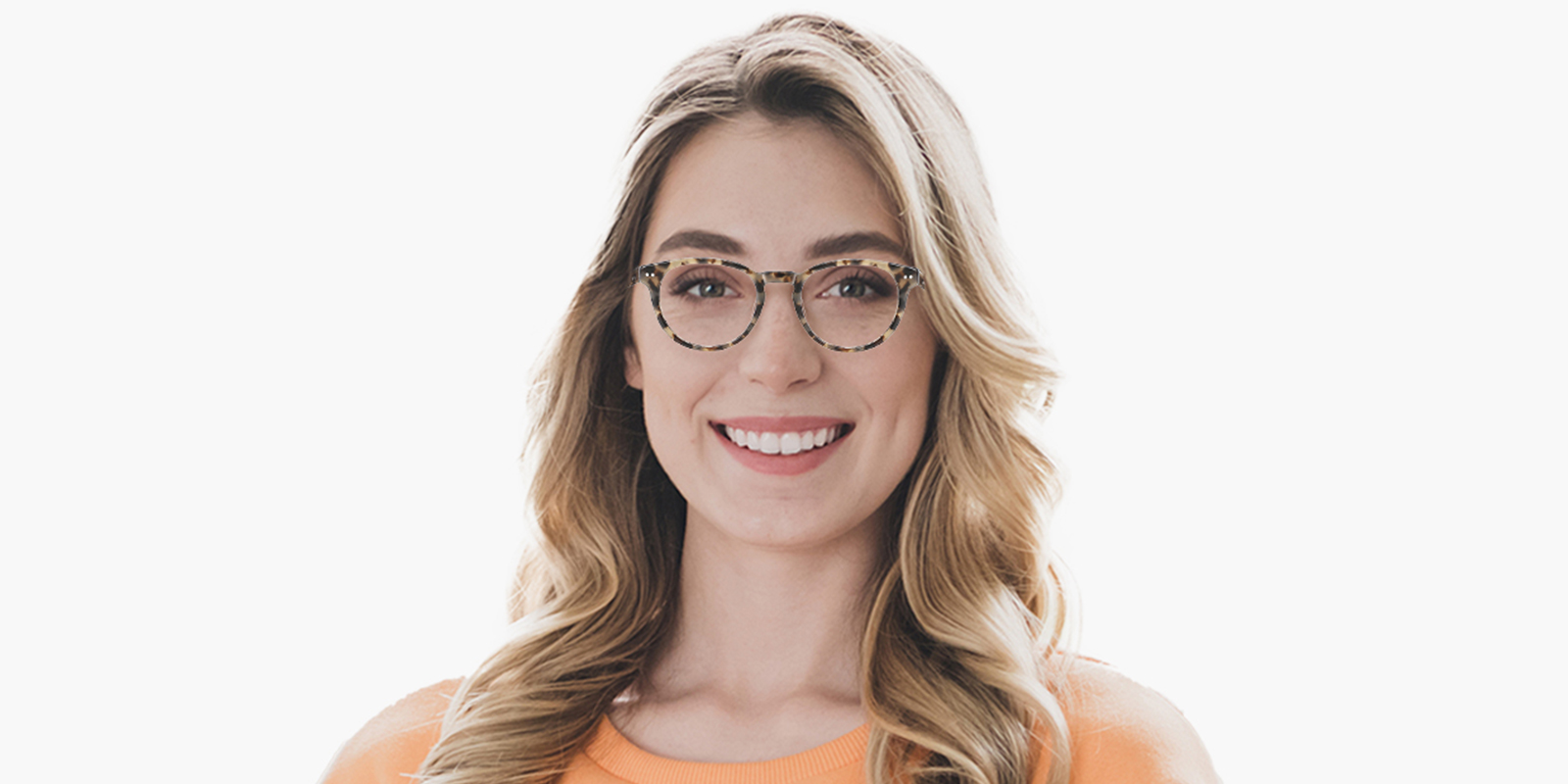 8886TL-Imure-tortoise_pc_4