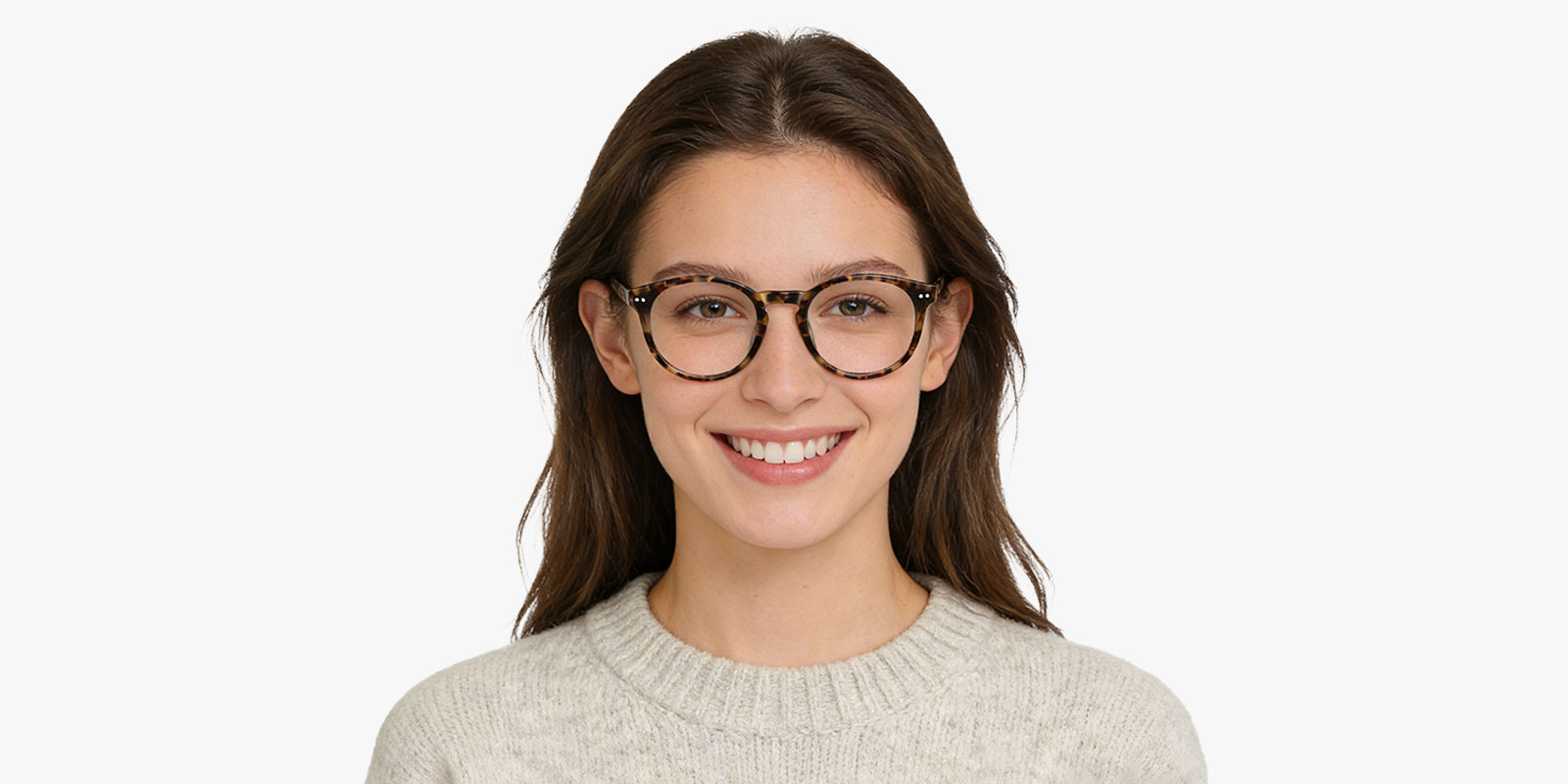 8895TL-Quada-tortoise_pc_2