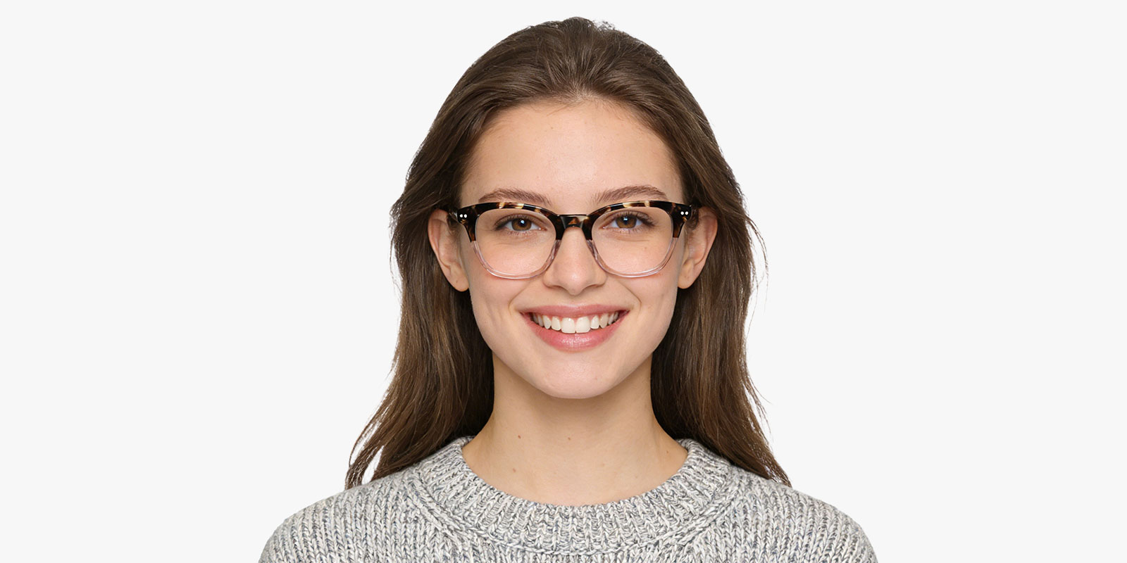 8975TL-Ublich-tortoise_pc_2