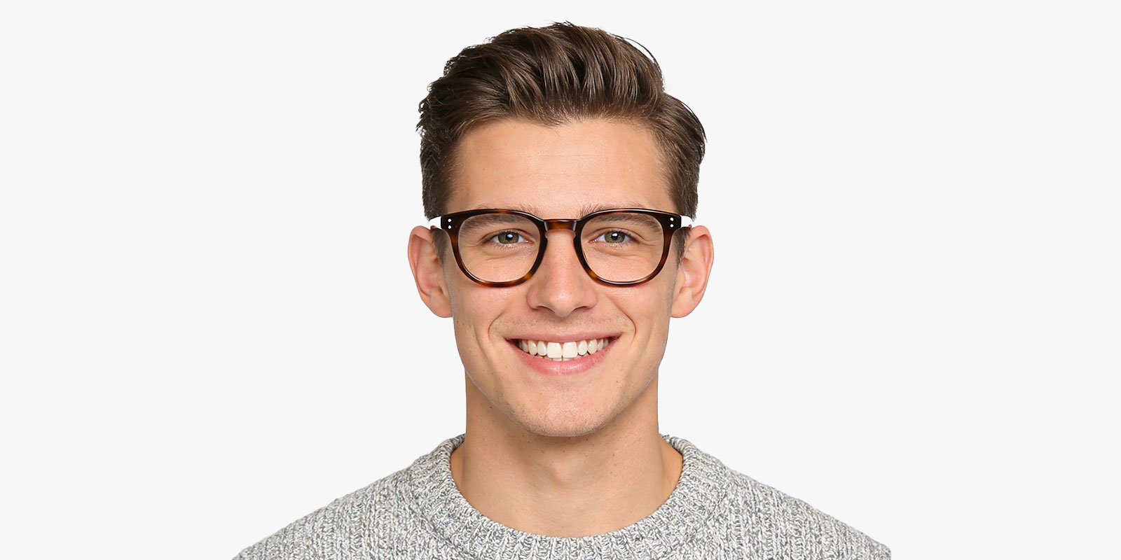 8995TL-Kodie-tortoise_pc_3