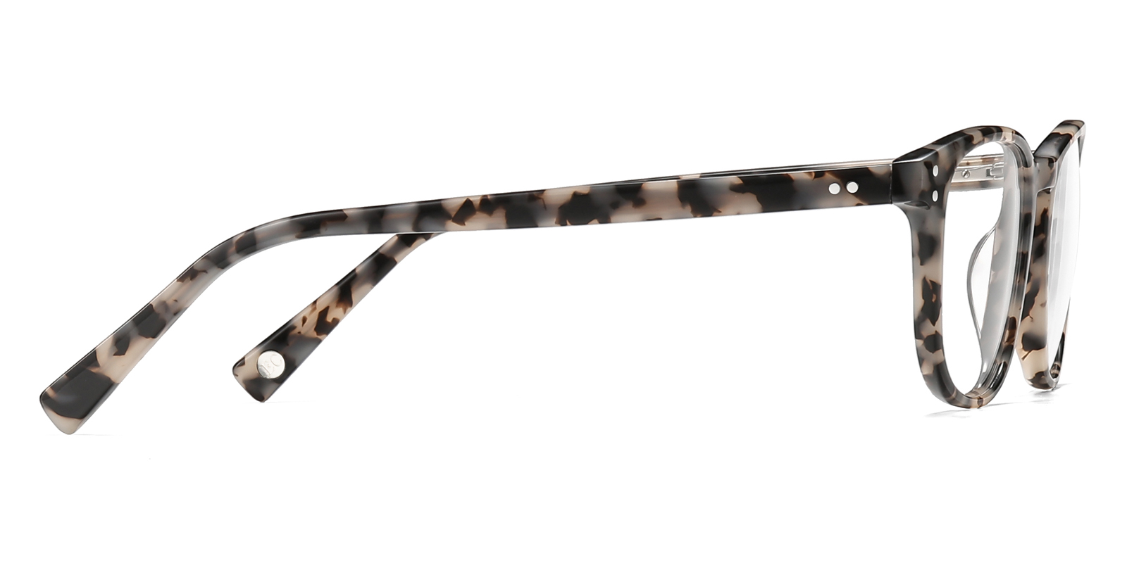 8996TL-Tuten-tortoise