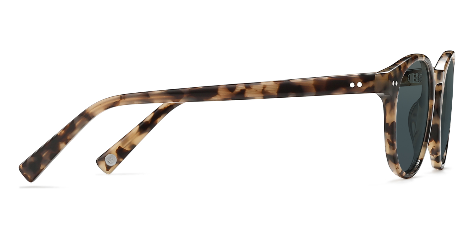 S8895TL-Quada-tortoise