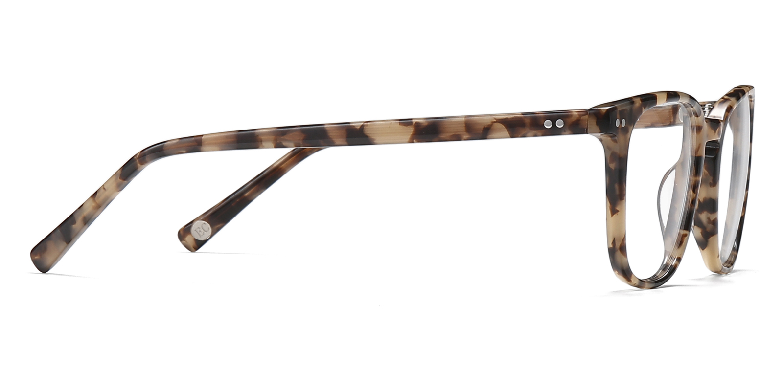 9881TL-Orwin-tortoise