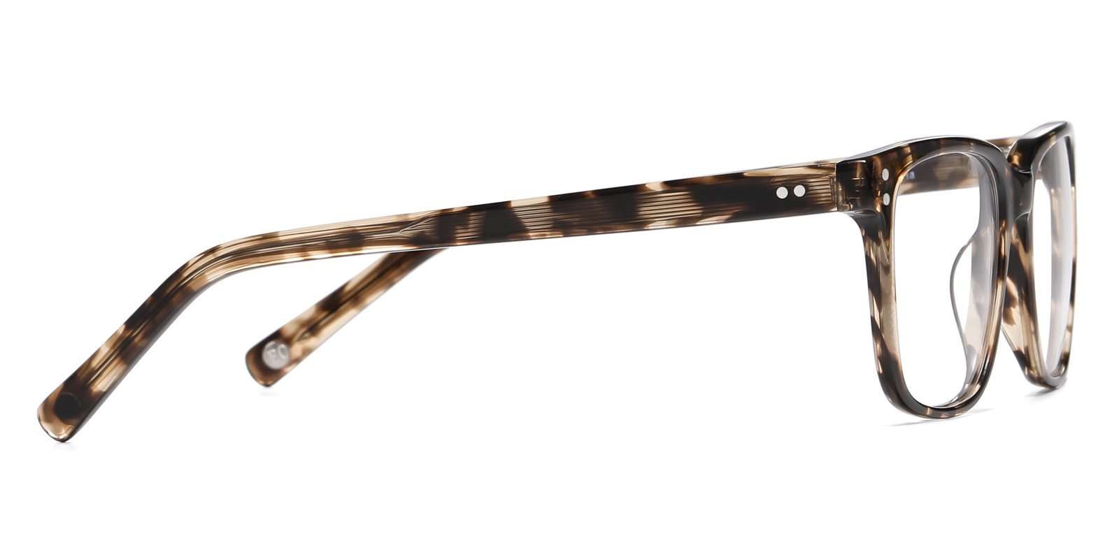 8986TL-Ogens-tortoise