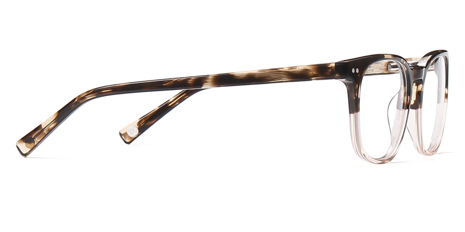 9858TG-Waiston-tortoise