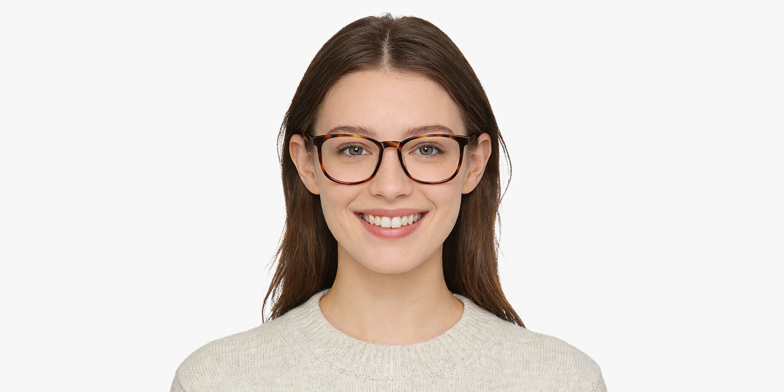 9851TL-Vindu-tortoise_pc_2