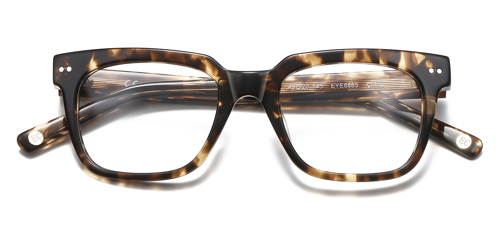 8885TL-Hugu-tortoise