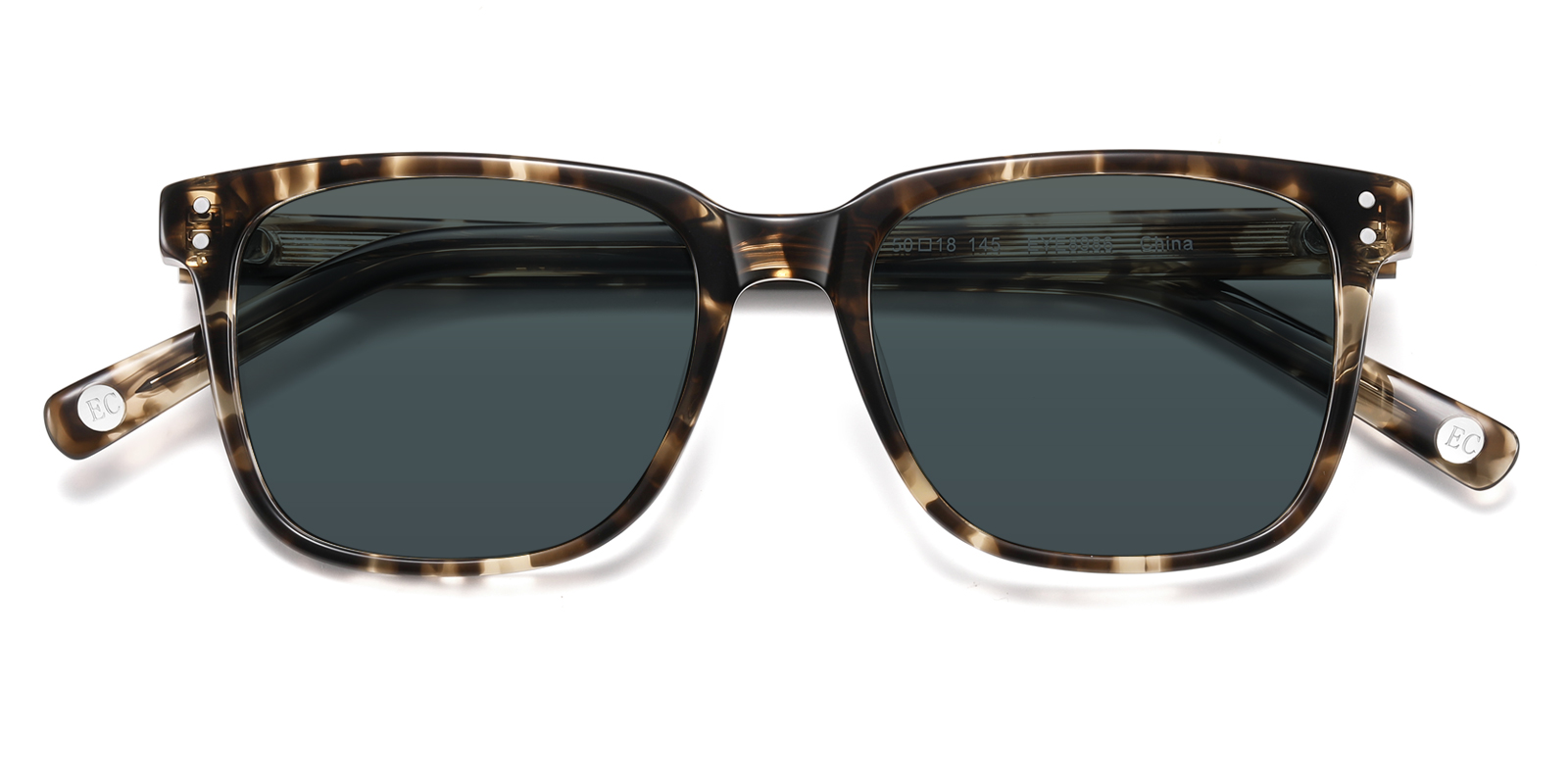 S8986TL-Ogens-tortoise