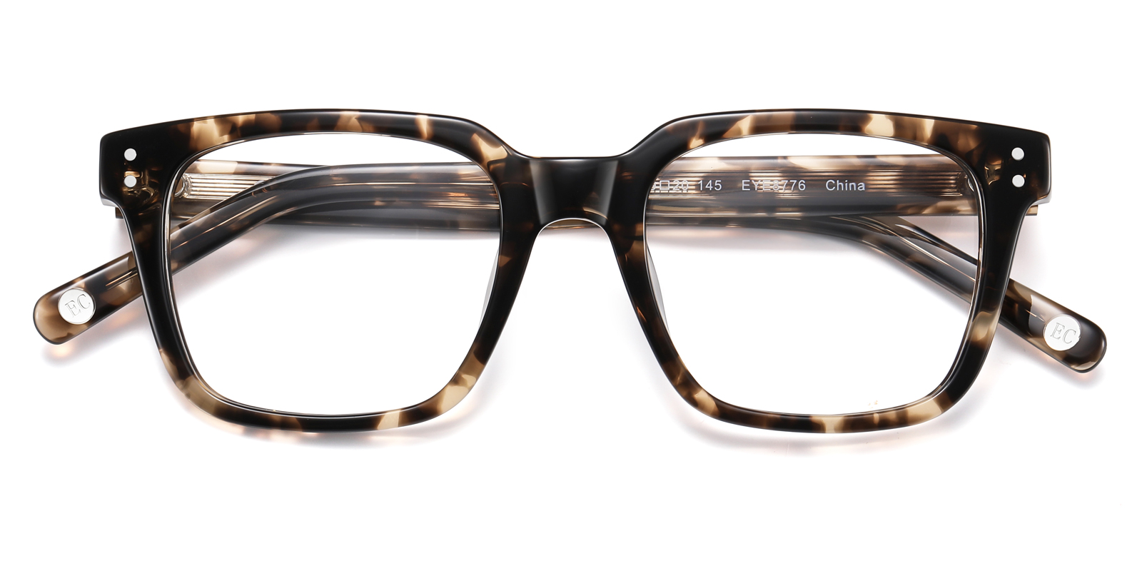 8776TL-Faro-tortoise