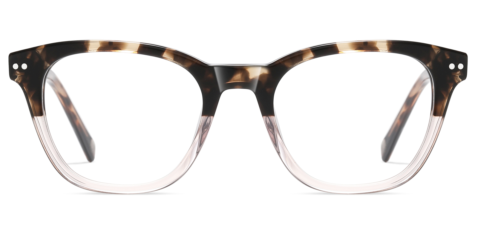 8975TL-Ublich-tortoise