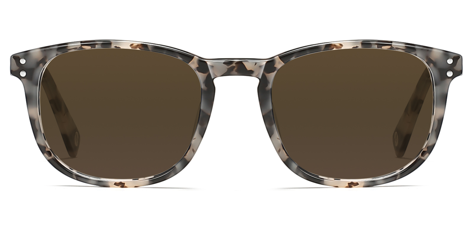 S8996TL-Tuten-tortoise