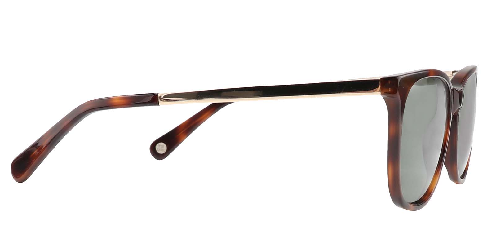 EYE8005-1S-Spolia-tortoise