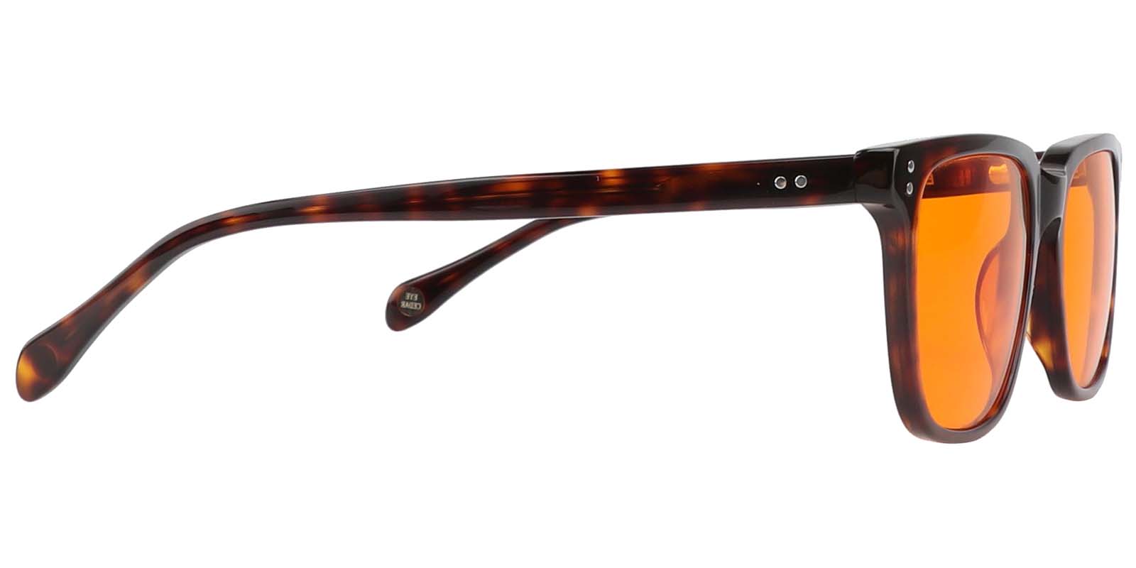 EYE8070B-Selecten-tortoise