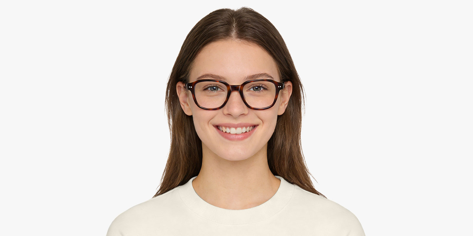 8982TL-Nevo-tortoise_pc_2