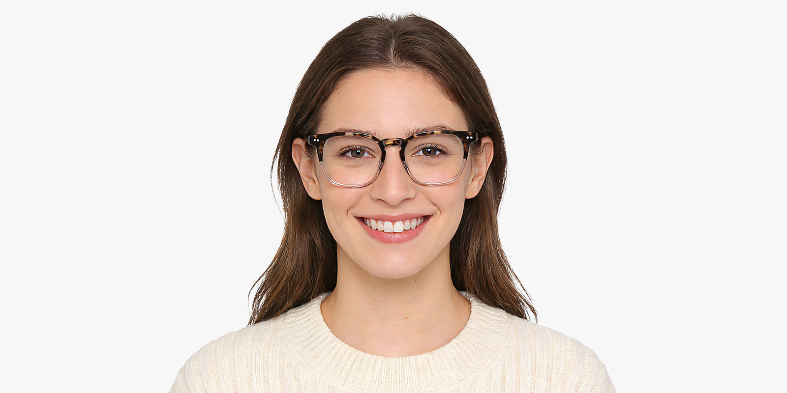 9858TG-Waiston-tortoise_pc_2