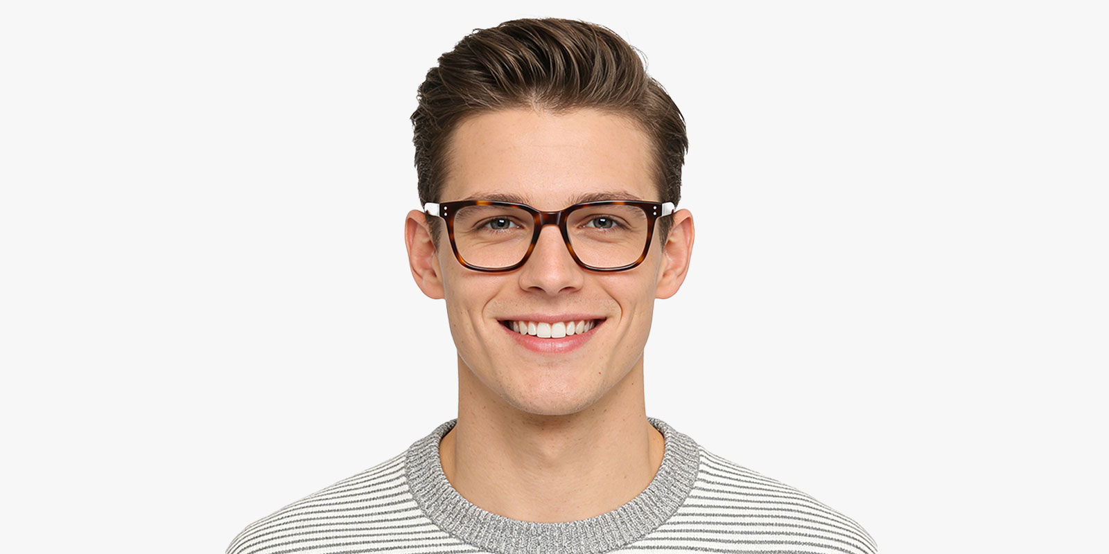 8985TL-Duben-tortoise_pc_2