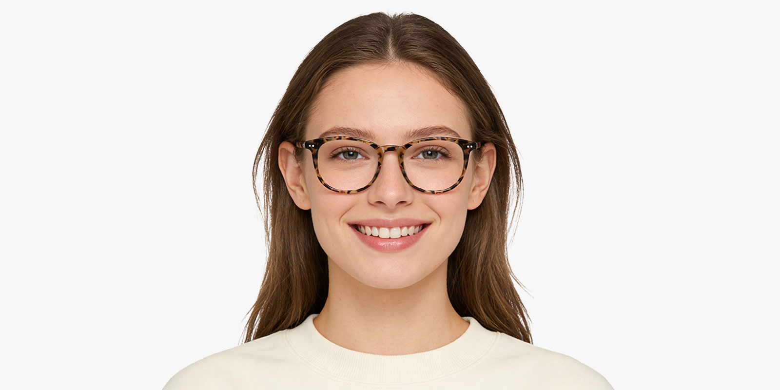 8991TL-Zuter-tortoise_pc_2